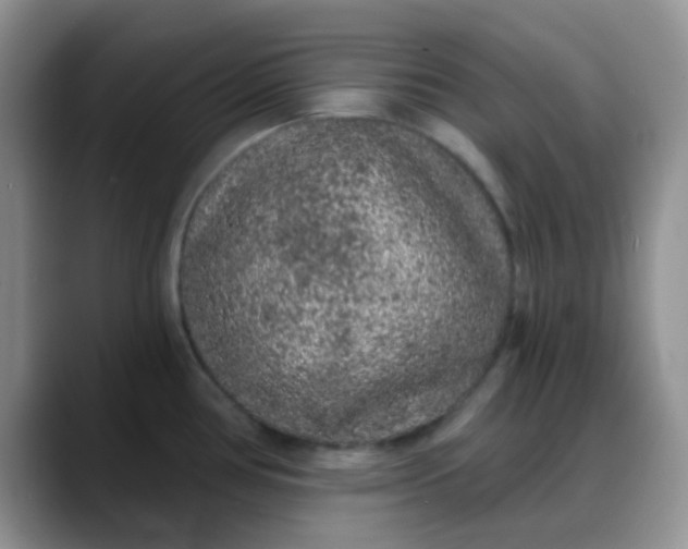 X0000088181386200705291943