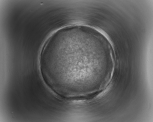 X0000088181389200705291943