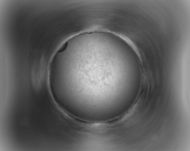 X0000088181390200705291943