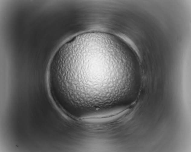 X0000088181391200705291943