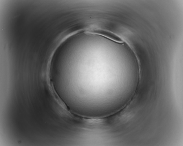 X0000088181392200705291943