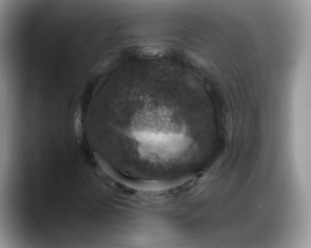 X0000088181394200705291942