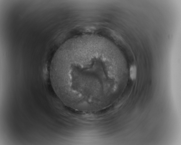 X0000088181395200705291942