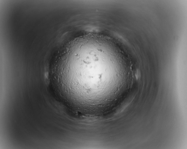 X0000088181396200705291942