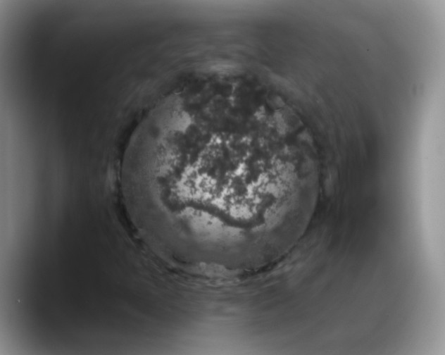 X0000088181397200705291942