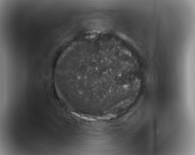X0000088181399200705291942