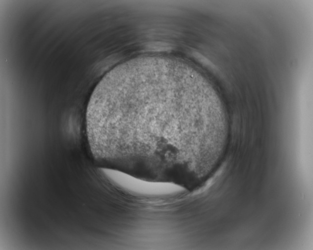 X0000088181401200705291942
