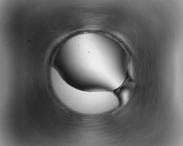 X0000088181406200705291942