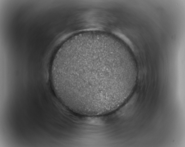 X0000088181407200705291942