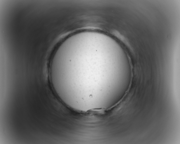 X0000088181408200705291942