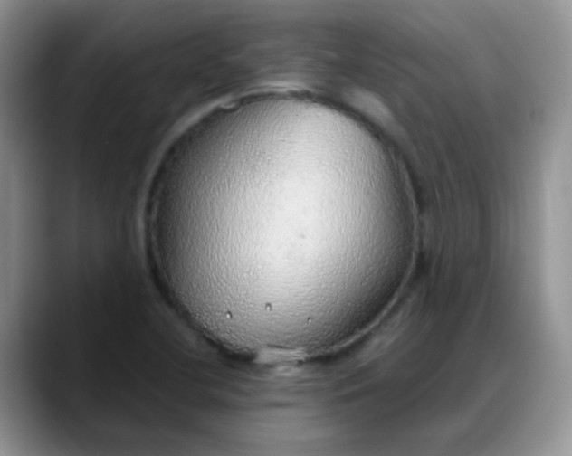 X0000088181412200705291943
