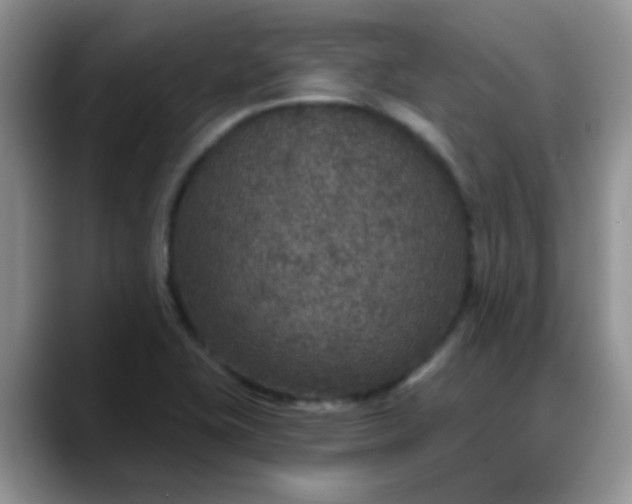 X0000088181415200705291943