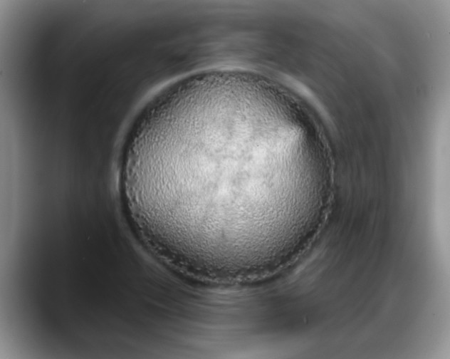 X0000088181416200705291943