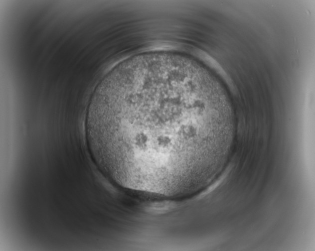 X0000088181417200705291943