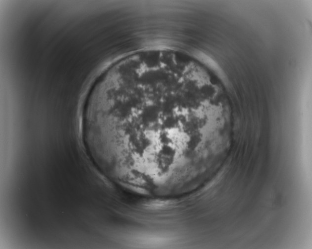 X0000088181419200705291943