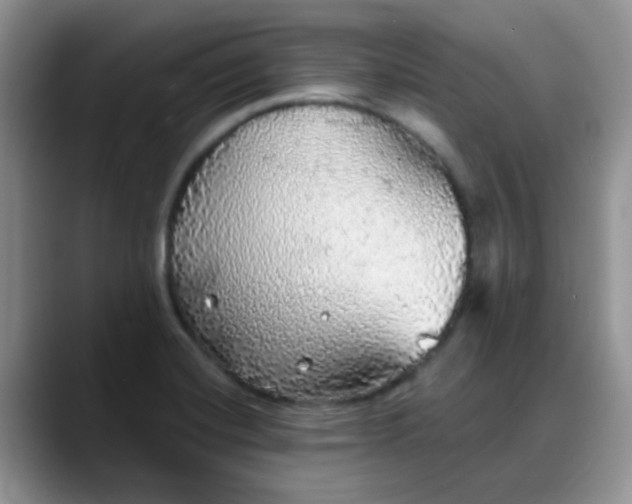X0000088181420200705291943