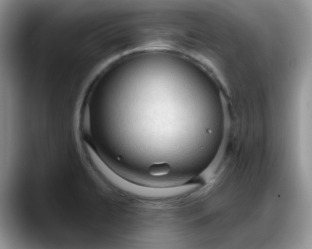 X0000088181422200705291943