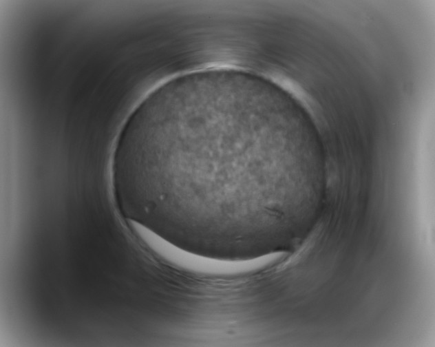 X0000088181423200705291943