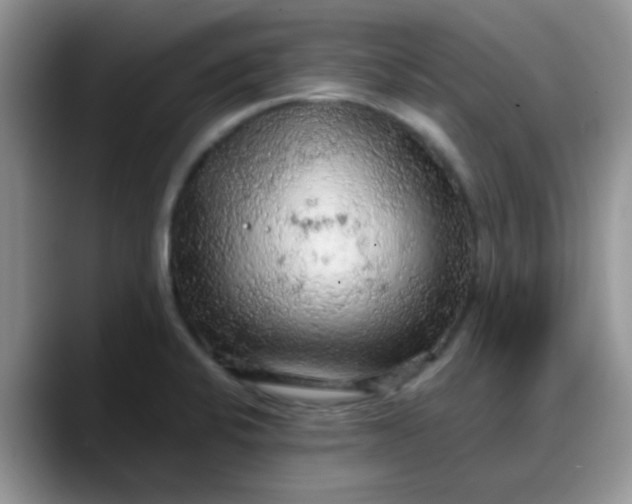X0000088181424200705291943