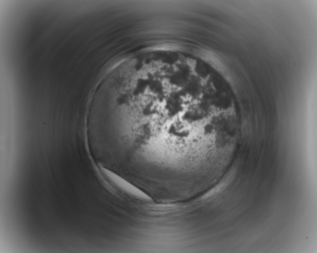 X0000088181425200705291943