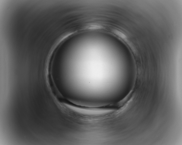 X0000088181426200705291943
