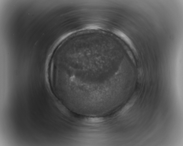 X0000088181427200705291943