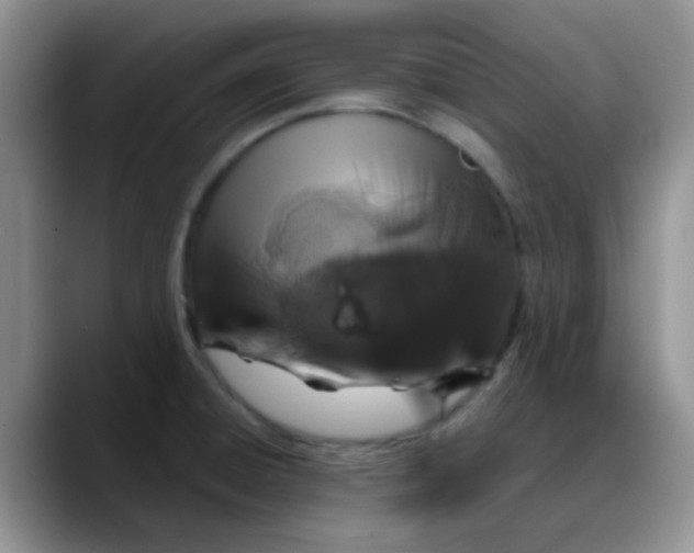 X0000088181428200705291943