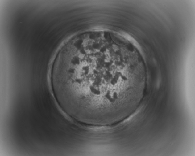X0000088181429200705291943