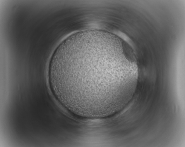 X0000088181431200705291943