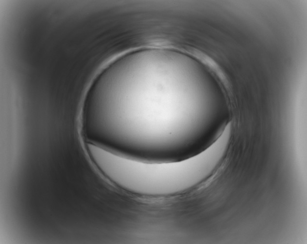 X0000088181432200705291943