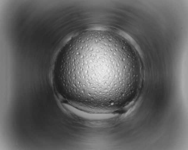 X0000088181433200705291943