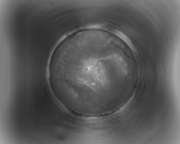 X0000088181436200705291943