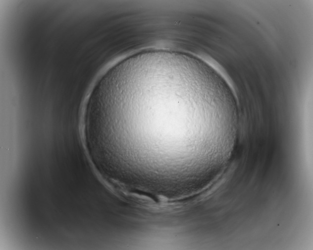 X0000088181437200705291943