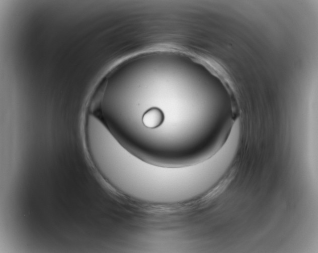 X0000088181438200705291943