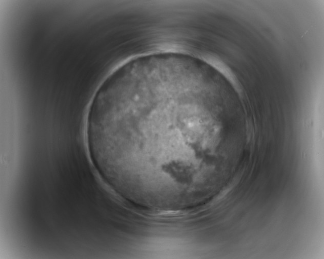 X0000088181439200705291943