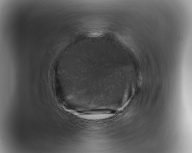 X0000088181441200705291942