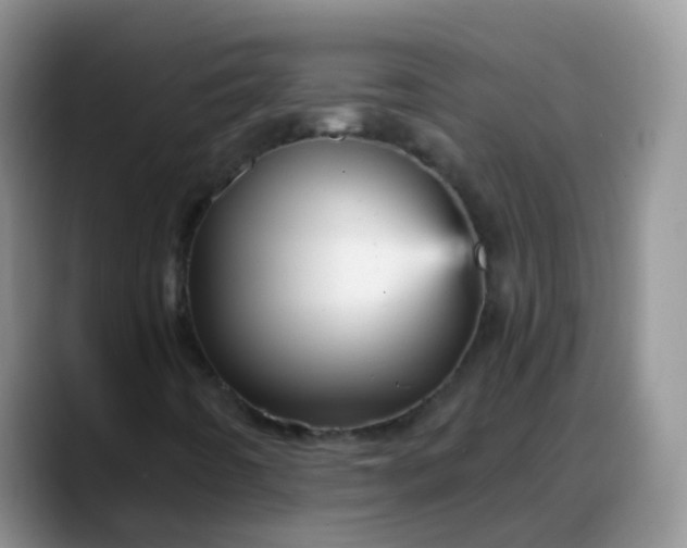 X0000088181442200705291942