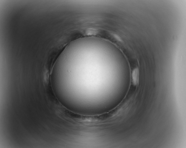 X0000088181443200705291942