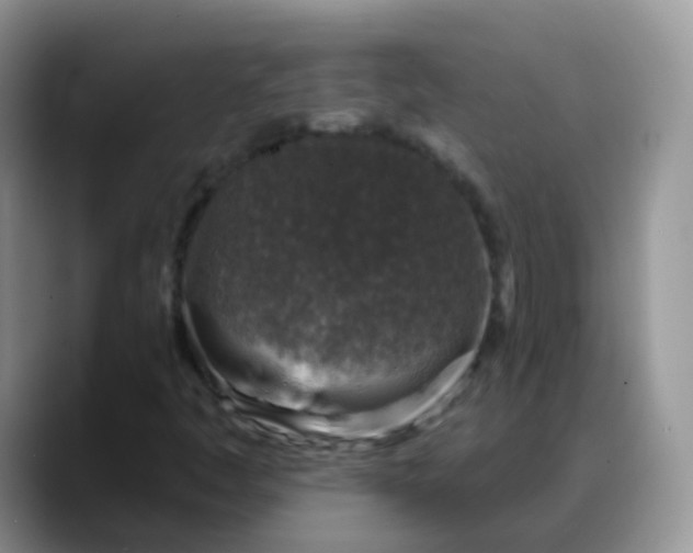 X0000088181445200705291942