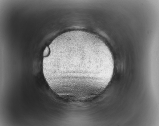 X0000088181448200705291942