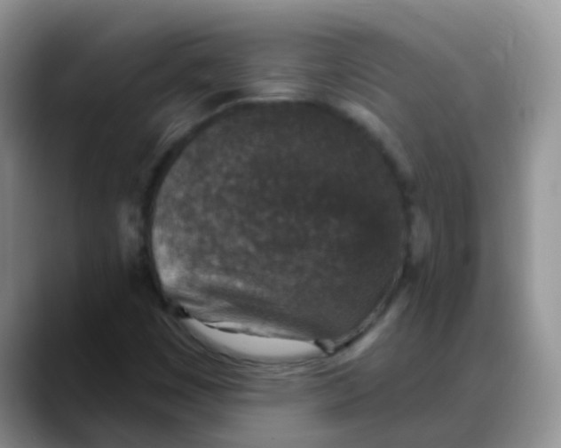 X0000088181449200705291942