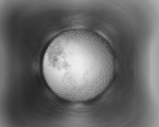 X0000088181452200705291942