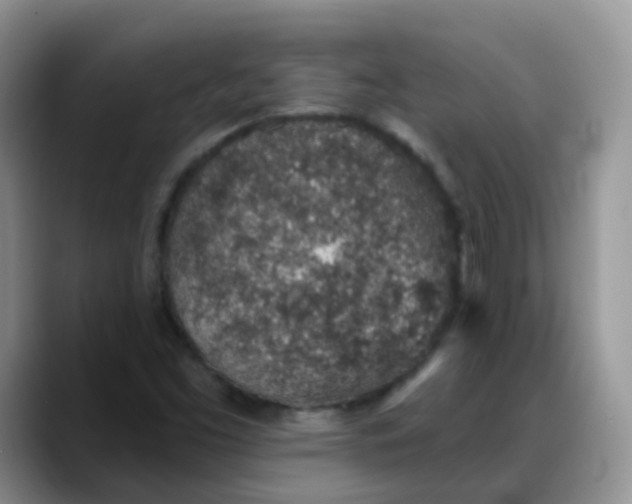 X0000088181453200705291942
