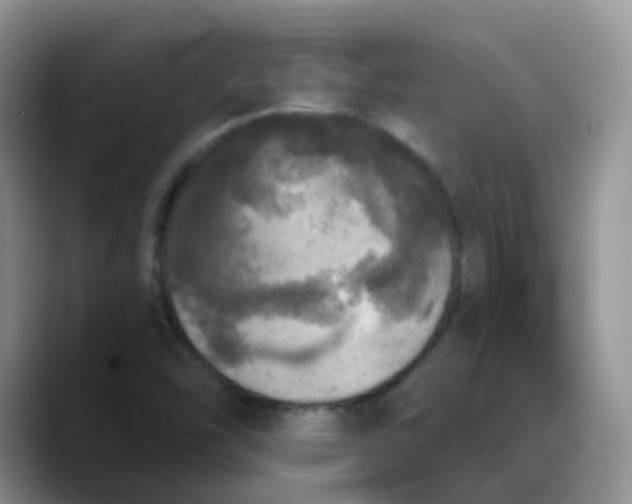 X0000088181454200705291942