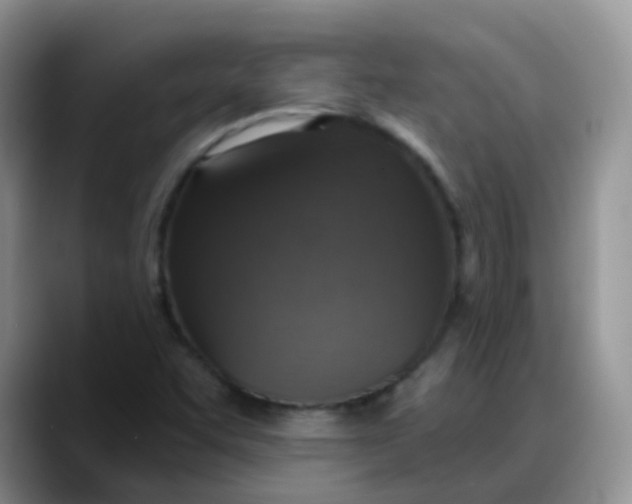 X0000088181455200705291942