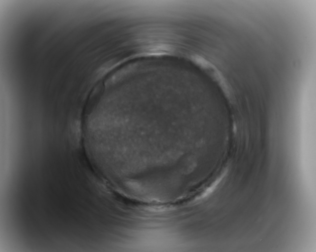 X0000088181457200705291942