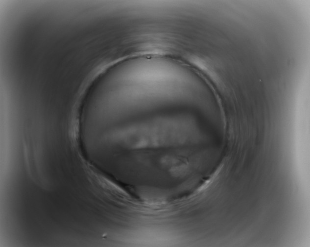 X0000088181459200705291942