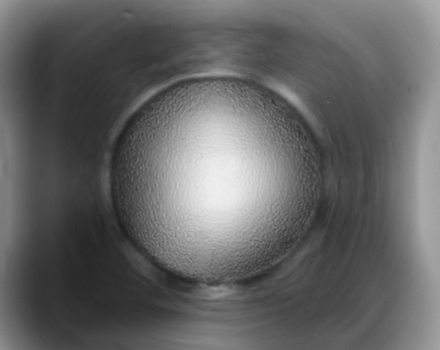X0000088181460200705291942