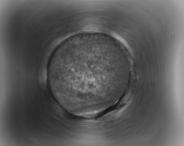 X0000088181461200705291942