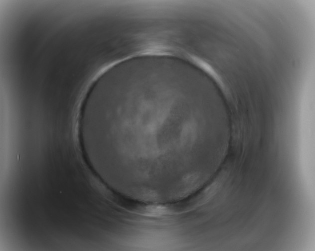X0000088181463200705291942